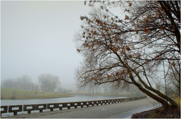 In the city of fog / ***