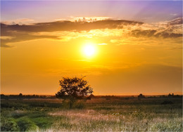 Sunset on the Oka River / ***