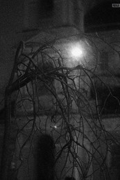Dark Shadows / ***