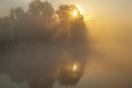 In the morning / ***