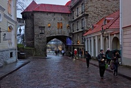 Tallinn / ***