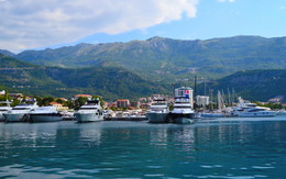 In a safe harbor / ***