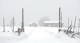 And the silence / ***