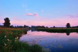 Evening on the river / ***