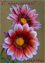 Happy Holidays! / ***