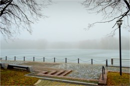 Fog in the park / ***