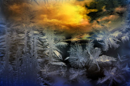 Through the glass / ***