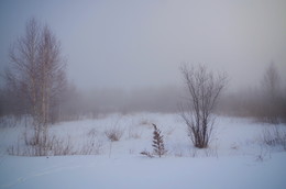 Fog / ***
