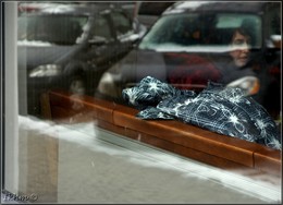 Through the glass / ***
