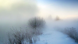 frosty silence / ***