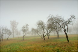 mist day / ***