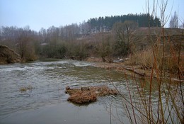 spring came / ***
