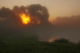 in late summer / ***