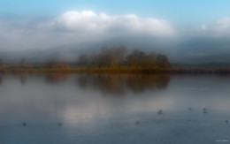 pacification / ...