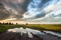 After the rain / ***