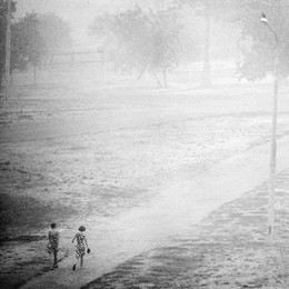 Secondary road / ***