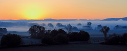 Nebel-Felder / Hat eine gefühlte Ewigkeit gedauert, bis endlich die Sonne kam:)
