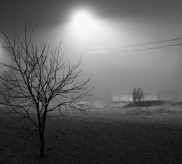 Night, street, lamp ... / ***