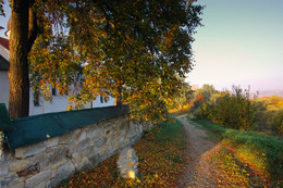 pathway in autumn / ***