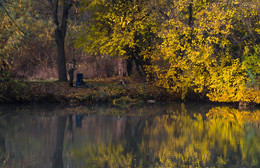 Morning Fisherman / ***