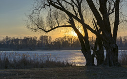 Dusk / ***
