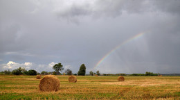 After the rain / ***