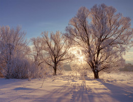 January morning / ***