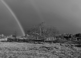 After the rain ... / ***