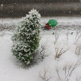 Last Snow / ***
