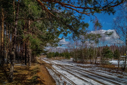 Spring road / ***