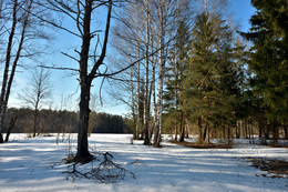 The first thaw / ***