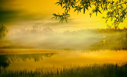 Foggy morning ... / ***