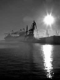 morning in the port / ***