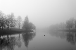 Fog / ***