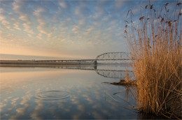 In the dawn hour / ***