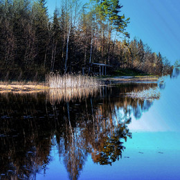 Reflections in the water / Otrazheniya v vode