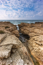 Mediterranean / ***