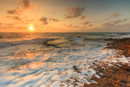 Mediterranean / ***