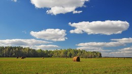 Autumn picture / ***