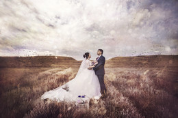 Bird of Happiness / ***