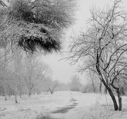 Spring snow. / ***