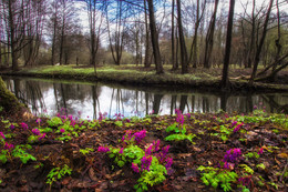 spring came / ***