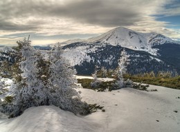 &nbsp; / [img]http://i.imgur.com/Se9Jn6X.jpg[/img]
[img]http://i.imgur.com/Y2dTDKG.jpg[/img]
[img]http://i.imgur.com/jl5KuPf.jpg[/img]
