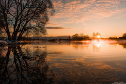 In silence ... / ***