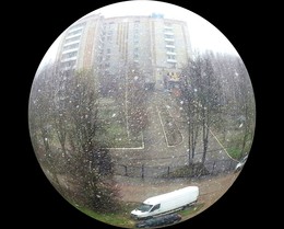 Spring Snowfall / ***