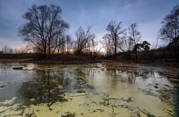Old pond ... / ***