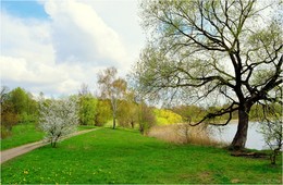 Spring comes / ***