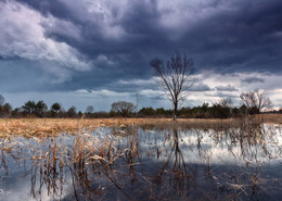 Before the Rain / ***