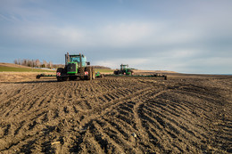 Sowing / ***