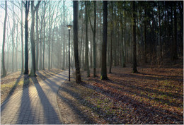 Light spring / ***
